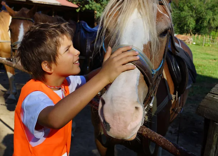 وسبا لاكي بانسكو&ريلاكس الفندقية بالخدمة الذاتية 5*